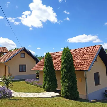 Guest house Garden 022 Vrdnik