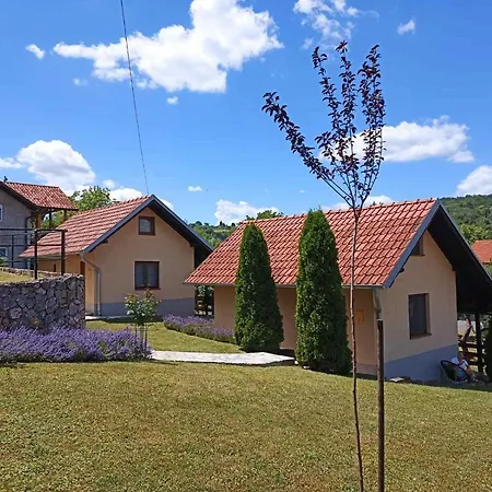 Garden 022 3* ヴルドニーク