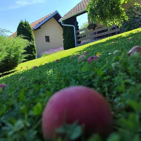 Garden 022 Гостевой дом