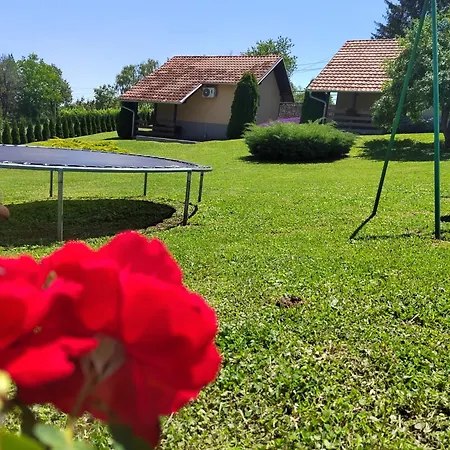 Garden 022 Vrdnik
