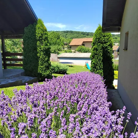 Garden 022 3* Vrdnik