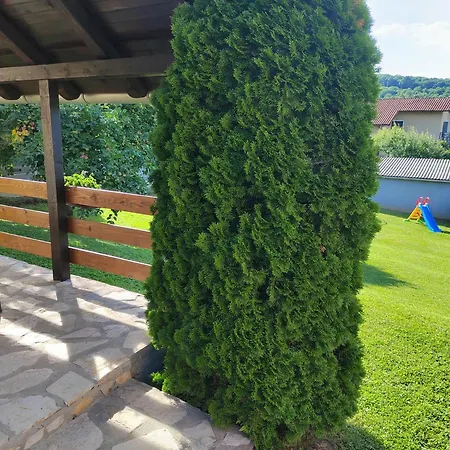 Guest house Garden 022