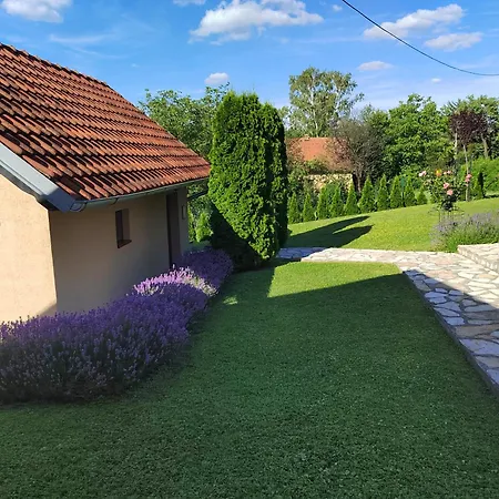 Guest house Garden 022 Vrdnik