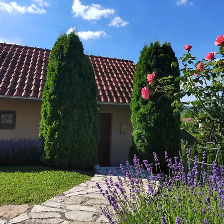 Garden 022 *