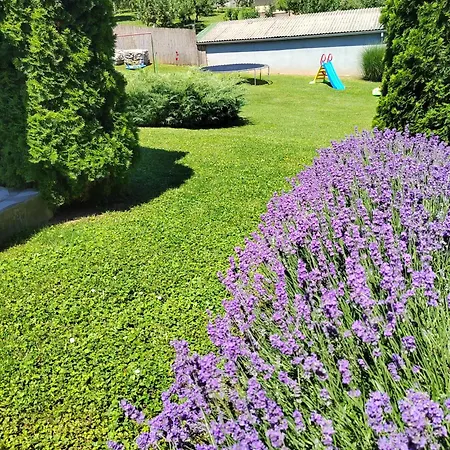 Garden 022 ゲストハウス 3*