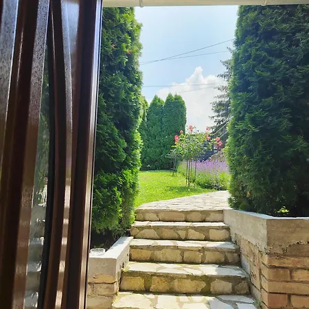 Garden 022