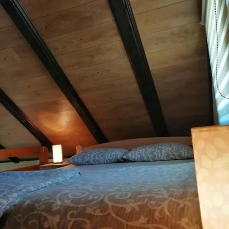 Garden 022 ゲストハウス