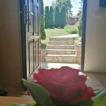 Garden 022 ゲストハウス 3*